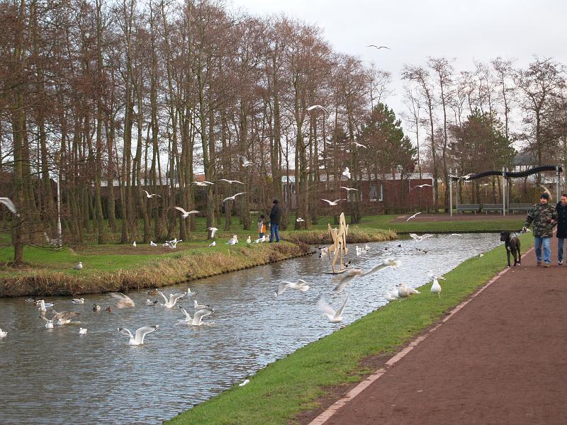 norddeich2007 008.jpg